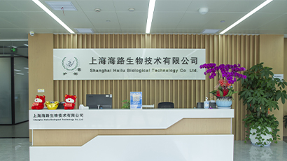 ����������з�����