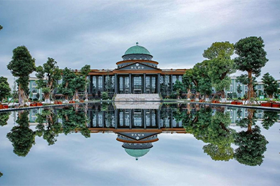 �Ĵ�����������������ҩҵ���޹�˾