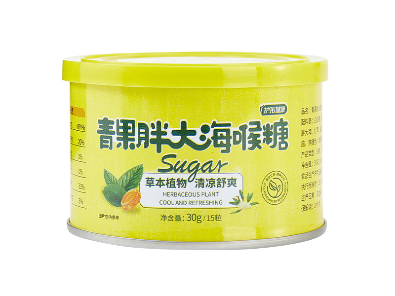 ����ִ󺣺���