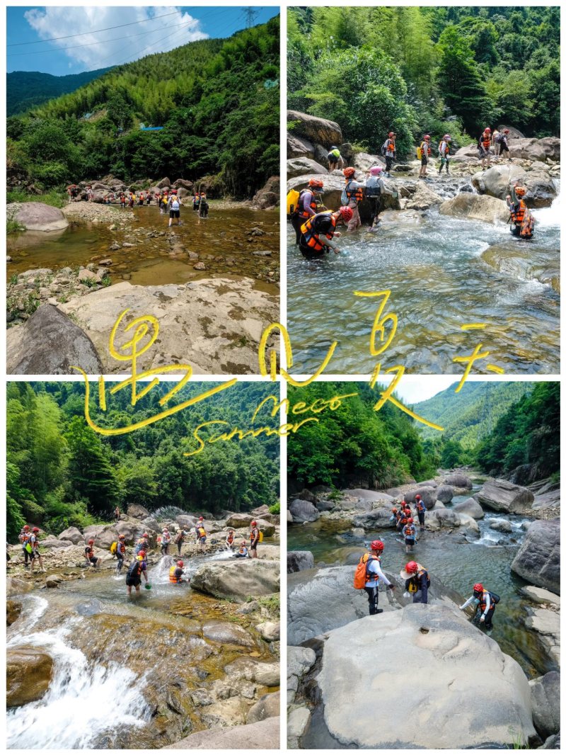 ���š���������������Э��緶չ